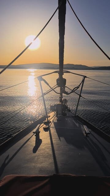 Sotogrande: Dolphin Watching Boat Trip with Drink - Who Will Love This Tour?