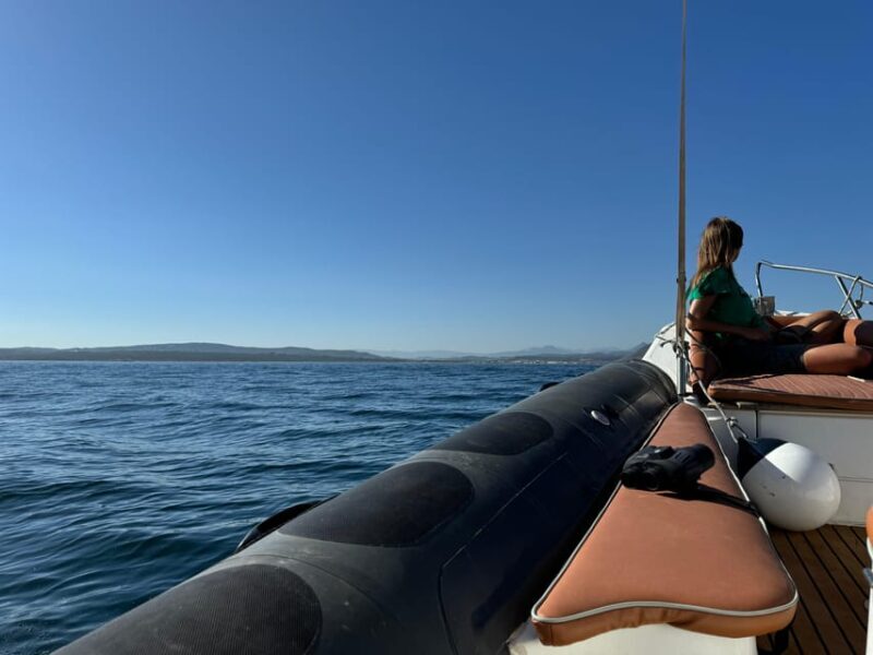 Sotogrande: Dolphin watching experience with expert crew - Detailed Review of the Dolphin Watching Tour from Sotogrande