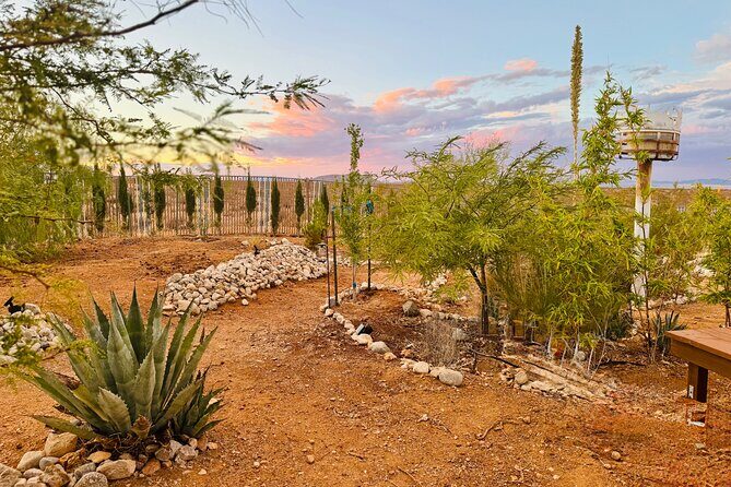 Soul Reconnection Retreat in Joshua Tree - Practical Aspects and Value