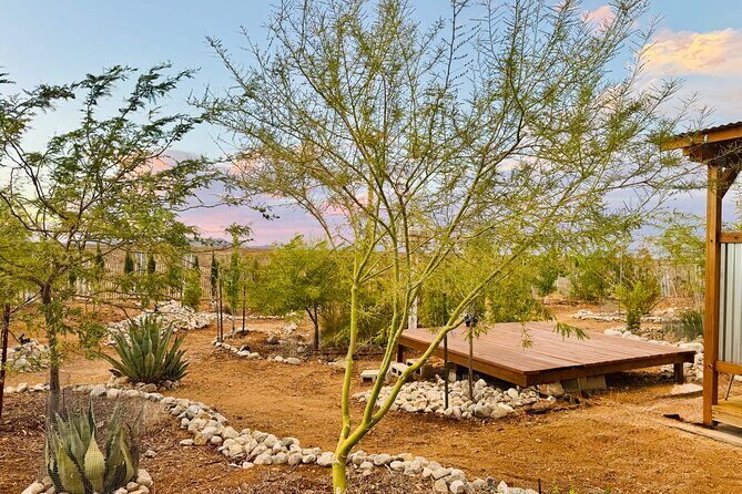 Soul Reconnection Retreat in Joshua Tree - Authentic Experiences & Participant Feedback