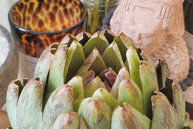 Soul Revitalization: Cacao Ceremony & Sound Healing in Mérida - Who Will Love This Experience?