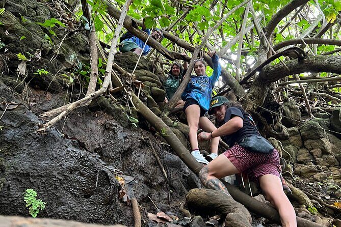 Soulful Safari - Authentic Feedback and Insights