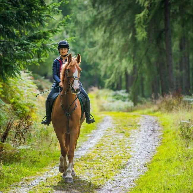 SoulRide: Horseback & Mindful Escape in Kissamos - What’s Included & What You Should Know