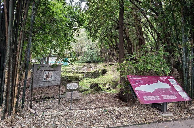 Sounds of Chapultepec Musical Journey through the History of Mexico - Final Thoughts