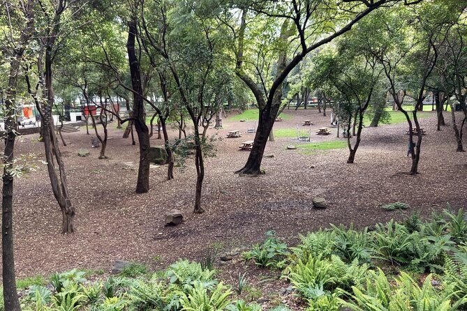 Sounds of Chapultepec Musical Journey through the History of Mexico - FAQ