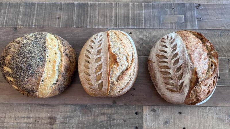 Sourdough Bread Workshop with Tastings in Scottsdale, AZ - An Authentic, Practical Introduction to Sourdough Baking