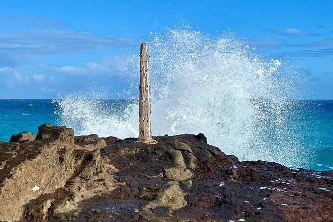 South and East Oahu Coastal Scenic Drive From Waikiki - Final Thoughts