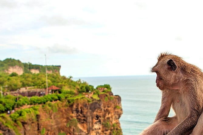 South Bali Fullday Tour with Jimbaran BBQ Seafood Dinner - Practical Details and What to Expect