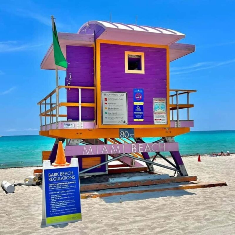 South Beach: French Guided Tour of the Art Deco District (2 hours) - Key Points