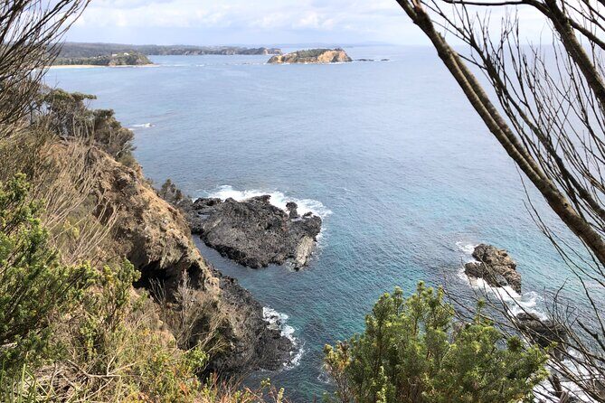 South Coast Nature Tour - Authentic Experiences and Authentic Encounters