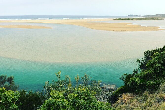 South Coast Nature Tour - Final Thoughts