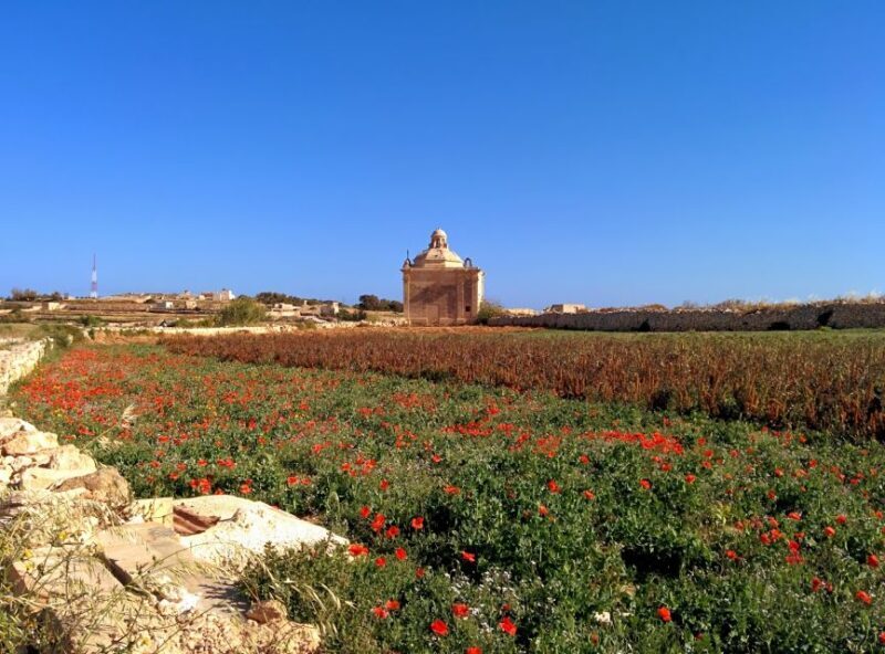 South Coast Private Nature Walking Tour with Transport - Who Is This Tour Best For?