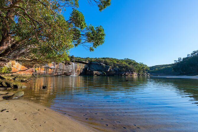 South Coast Private Tour & Royal National Park Inc - Who Should Consider This Tour?