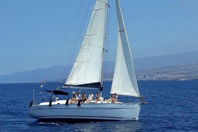 South Coast Tenerife Cruise - Final Thoughts: Who Will Love This Tour?