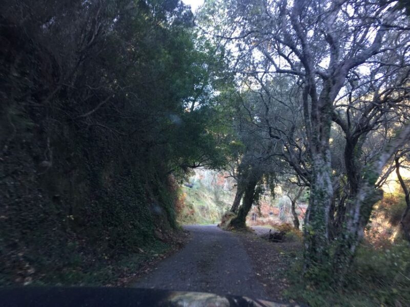 South Corfu Premium 4x4: Villages, Views & Flavours - FAQ