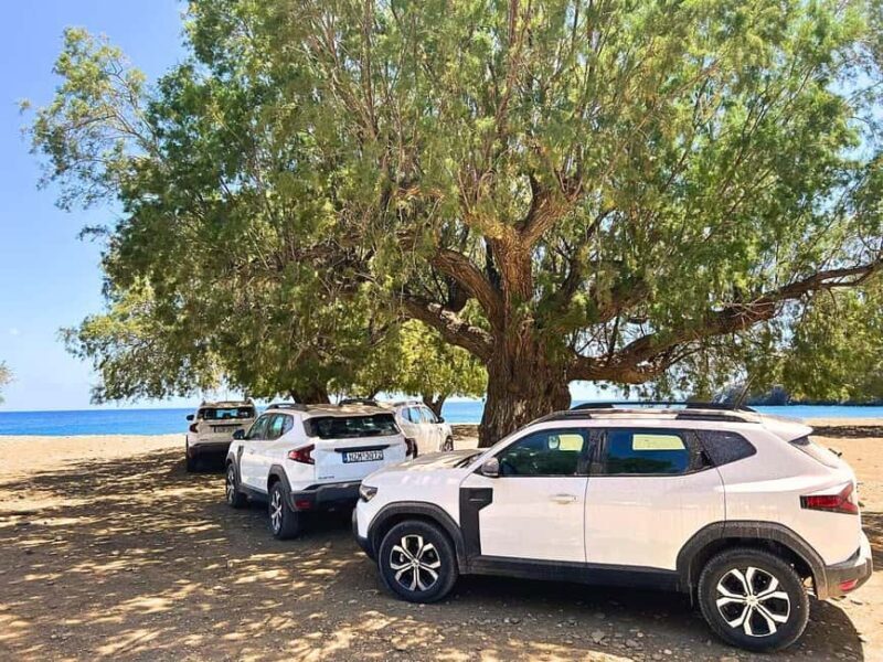 South Crete The Best Jeep Safari - Learning About Goat-Keeping with a Shepherd