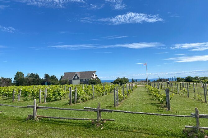 South Eastern PEI and Lighthouses Private Tour - An Overview of the Tour: What to Expect