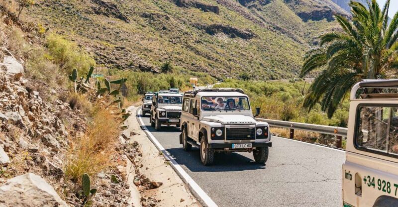 South Gran Canaria: Off-Road Valleys & Villages Jeep Tour - An In-Depth Look at the Off-Road Valleys & Villages Jeep Tour