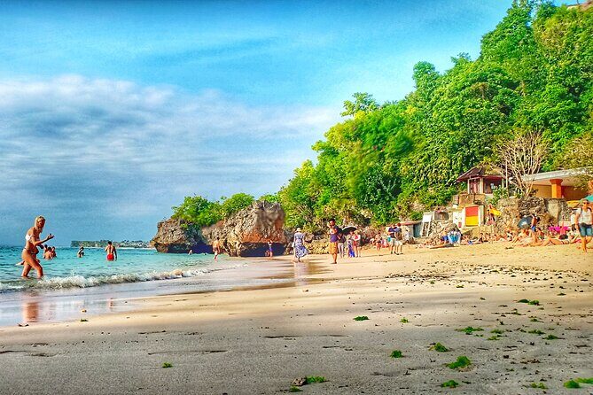 South Half Day Beach Tours - The Itinerary in Detail: What to Expect