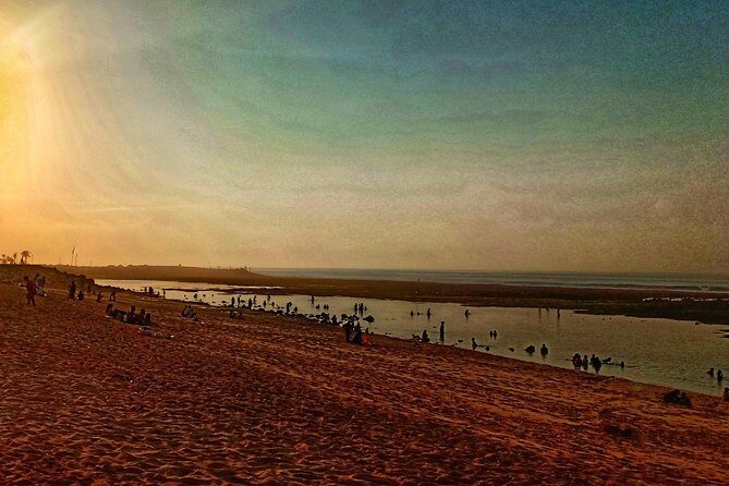 South Half Day Beach Tours - Analyzing the Value