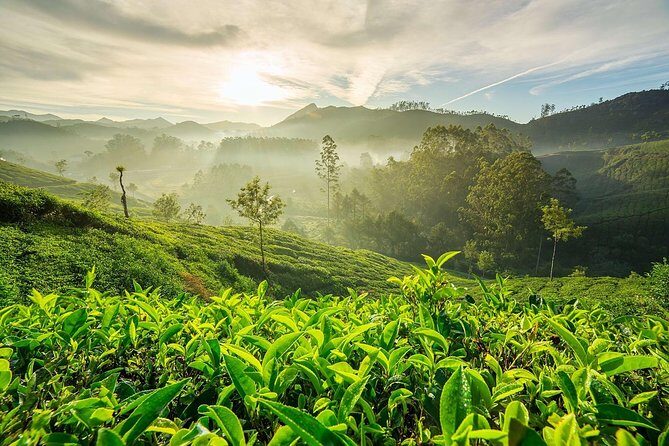 South India Tour in 06 Nights - A Deep Dive into the South India 6-Night Experience