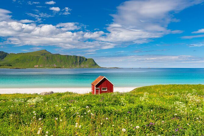 South Lofoten Top Highlights Photo Tour (Reine) - Key Points