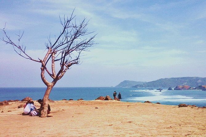 South Lombok Beaches Tour with Japanese-Speaking Guide - Who Will Love This Tour?