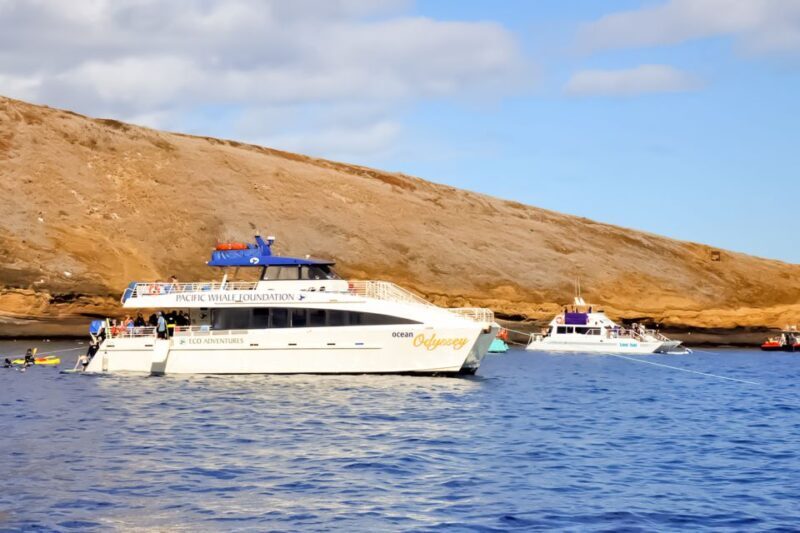South Maui: Eco Friendly Molokini and Turtle Town Tour - The Value and Who It’s For