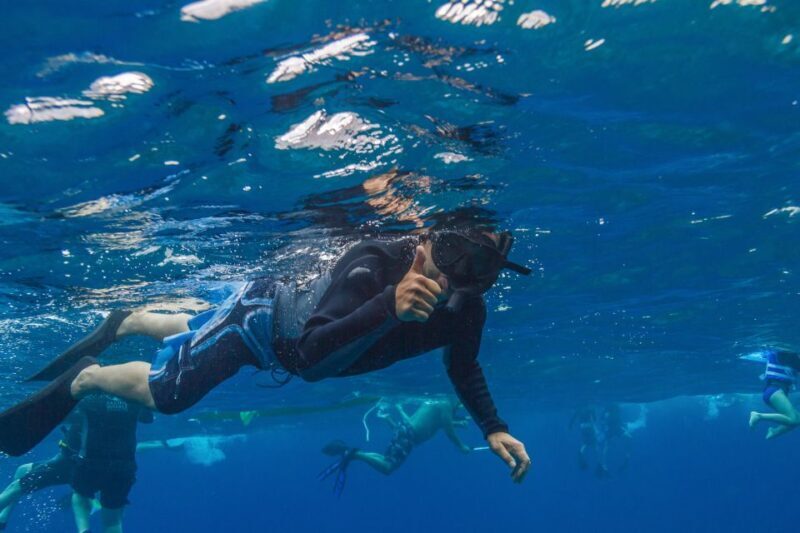 South Maui: Lanai Snorkel & Dolphin Watch from Maalaea - Lunch and Refreshments
