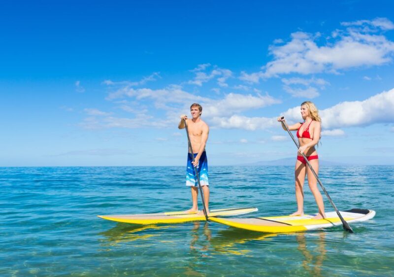 South Maui: Makena Bay Stand-Up Paddle Tour - Key Points