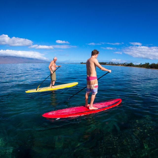 South Maui: Makena Bay Stand-Up Paddle Tour - An In-Depth Look at the Makena Bay SUP Experience