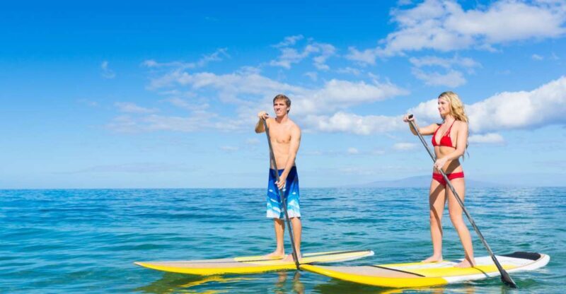 South Maui: Makena Bay Stand-Up Paddle Tour - The Sum Up