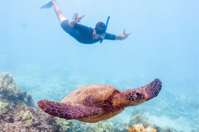 South Maui: Molokini Snorkeling Adventure - Detailed Review of the Molokini Snorkeling Tour