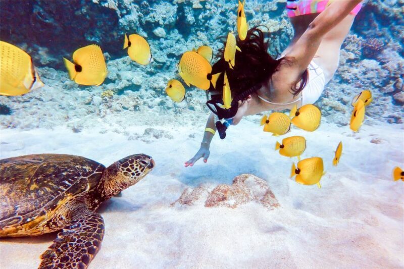 South Maui: Molokini Snorkeling Adventure - Additional Activities and Amenities