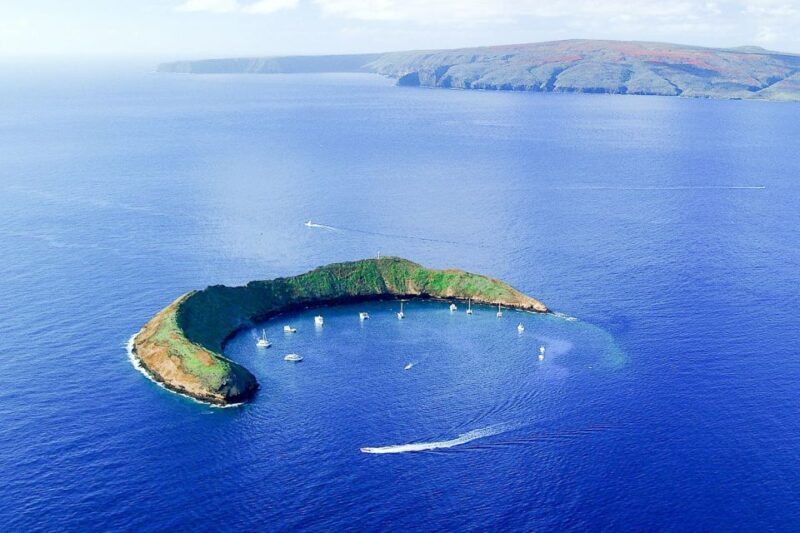 South Maui: Molokini & Turtle Town Snorkeling Tour with Meal - Exploring the South Maui: Molokini & Turtle Town Snorkeling Tour with Meal