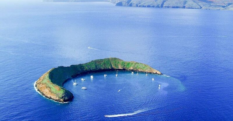South Maui: Molokini & Turtle Town Snorkeling Tour with Meal - Practicalities and Tips for Your Trip