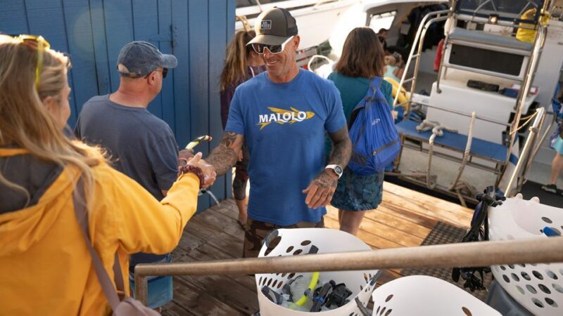 South Maui: Molokini & Turtle Town Snorkeling Tour with Meal - Frequently Asked Questions