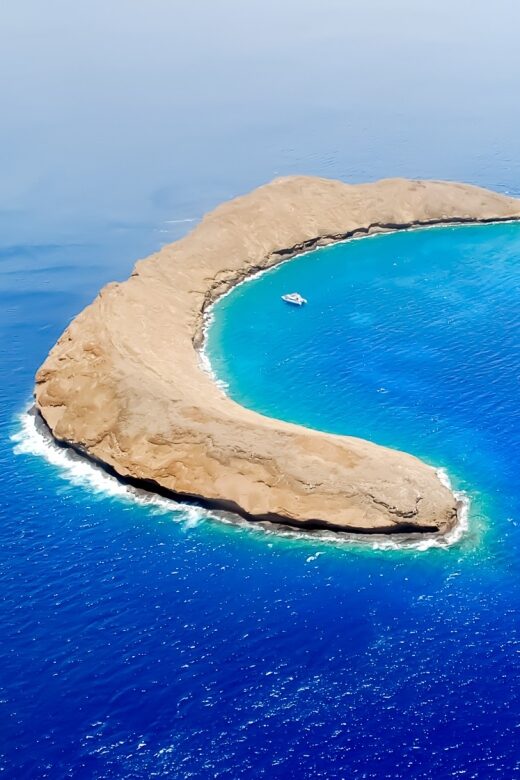 South Maui: Molokini Wild Eco Adventure from Maalaea Harbor - Who Would Love This Tour?