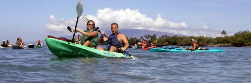 South Maui Premier kayak and snorkel - An In-Depth Look at the Tour Experience