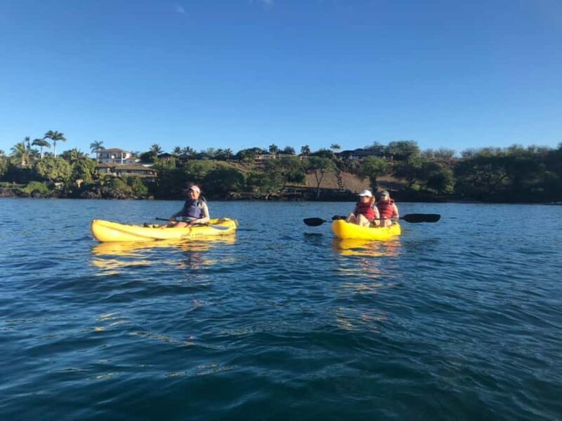 South Maui Premier kayak and snorkel - Practical Tips for Booking and Participation