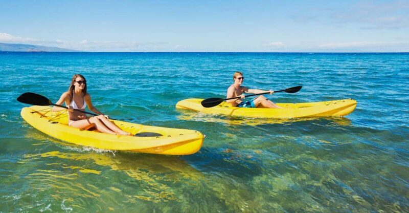 South Maui: Premium Turtle Town Kayak and Snorkel Tour - Key Points