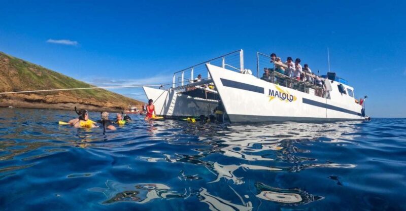 South Maui: Snorkel to Coral Gardens or Molokini Crater - South Maui: Snorkel to Coral Gardens or Molokini Crater – A Complete Look
