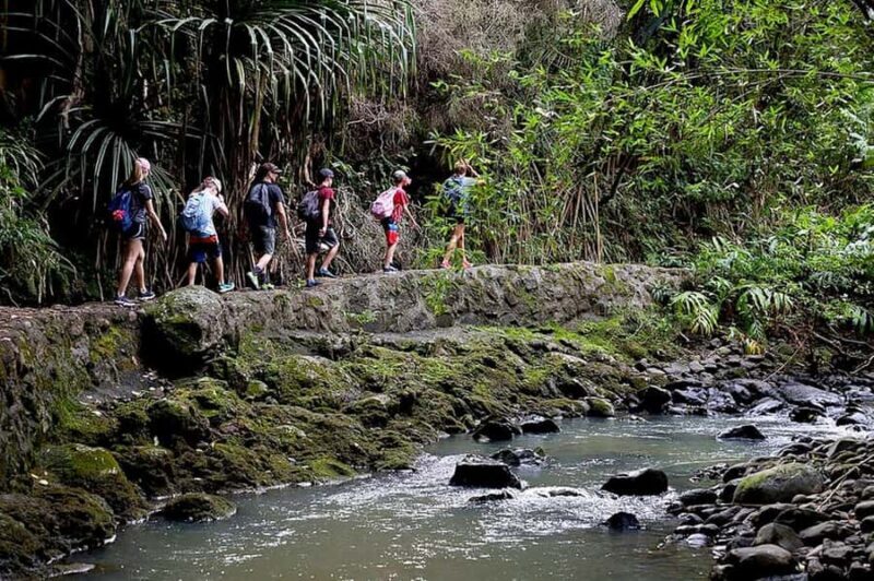 South Maui: Waterfall Tour w/ Kayak, Snorkel, and Hike - Who Should Consider This Tour?