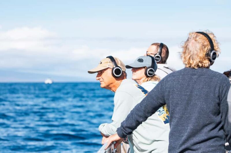 South Maui: Whale Watch Sail with Live Immersive Whale Songs - Setting the Scene: What to Expect from This Whale Watching Experience