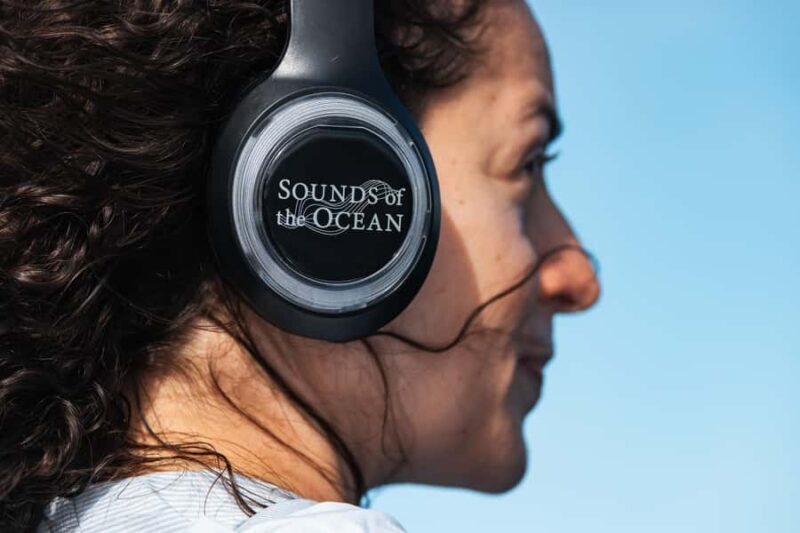 South Maui: Whale Watch Sail with Live Immersive Whale Songs - The Value of the Experience: What Travelers Say