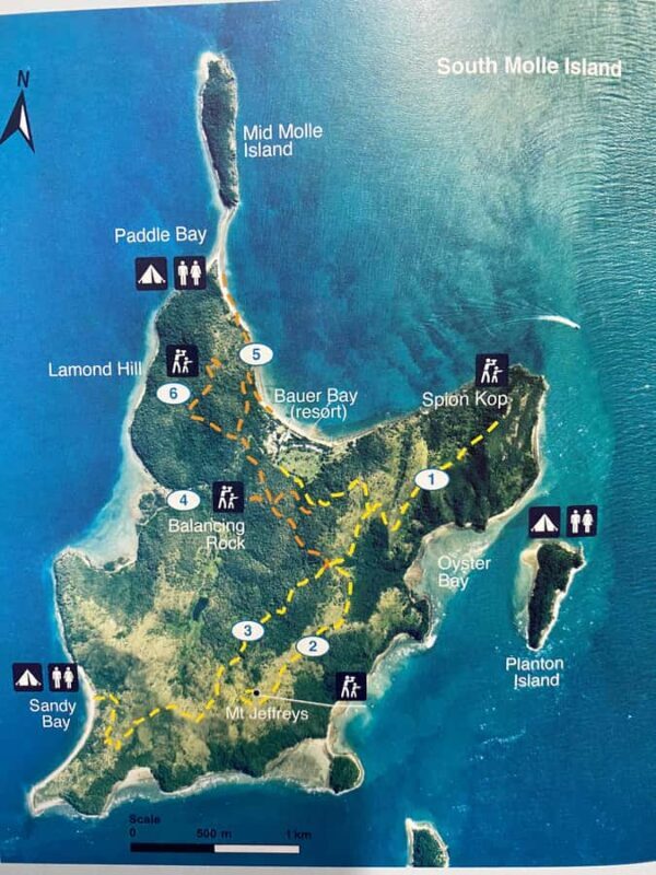 South Molle Island Self Guided Walking Tour - An In-Depth Look at South Molle Island’s Self-Guided Tour