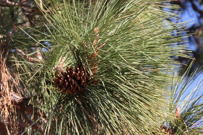 South Okanagan Desert Tour - Who Might Want to Skip It