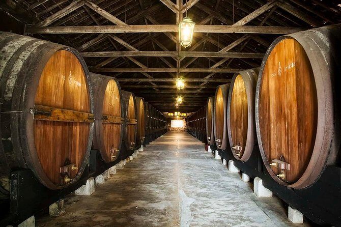 South Portugal Wine Route Private Full Day Tour from Lisbon - Exploring the Alentejo Wine Region