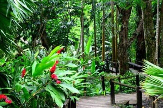 South Sea Island Half Day with Lunch & Drinks - Who Should Consider This Tour?