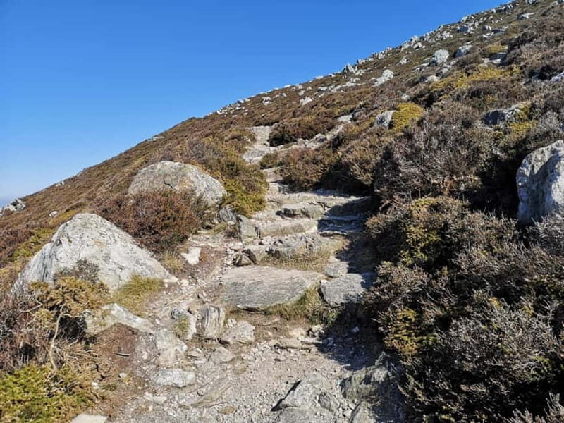 South Stack: Coastal Walking Tour with Café & History - Why This Tour Is a Great Choice
